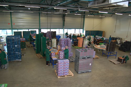 BioPackloods 1_opt